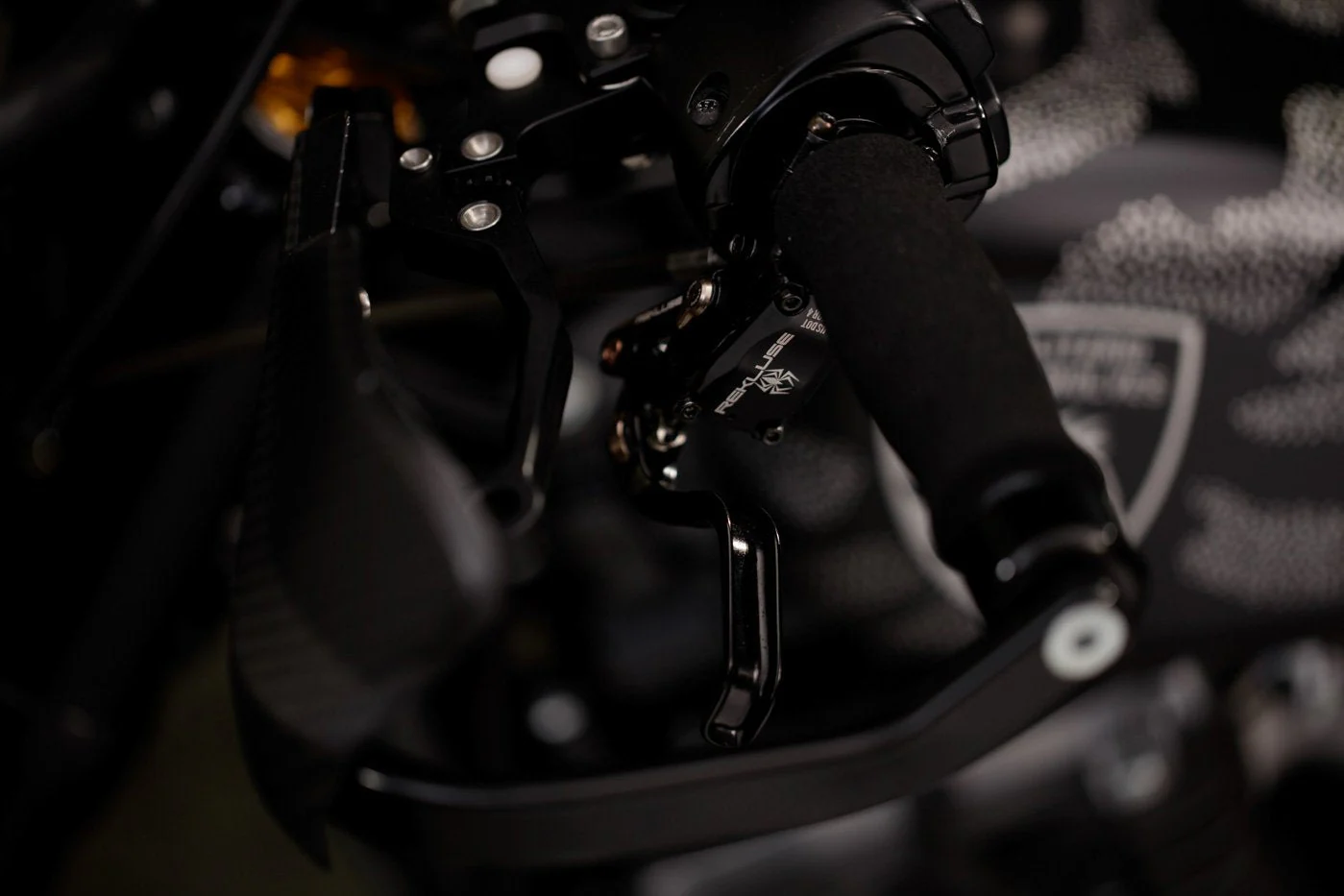 Harley Davidson 1200 Roadster Desert Wolf - Image 12