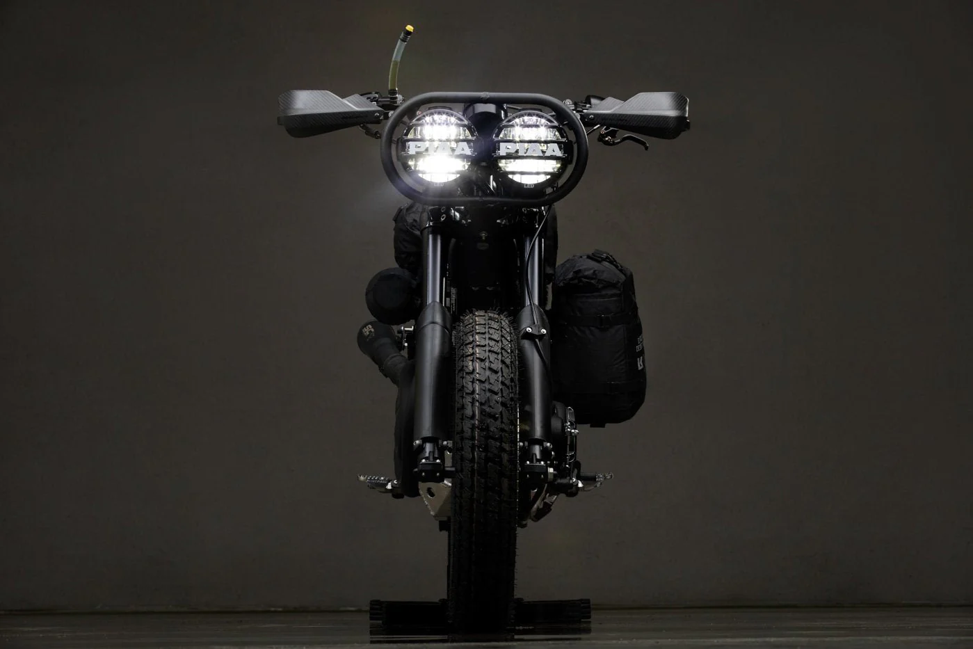 Harley Davidson 1200 Roadster Desert Wolf - Image 4