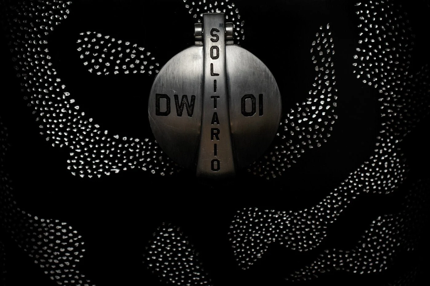 Harley Davidson 1200 Roadster Desert Wolf - Image 8