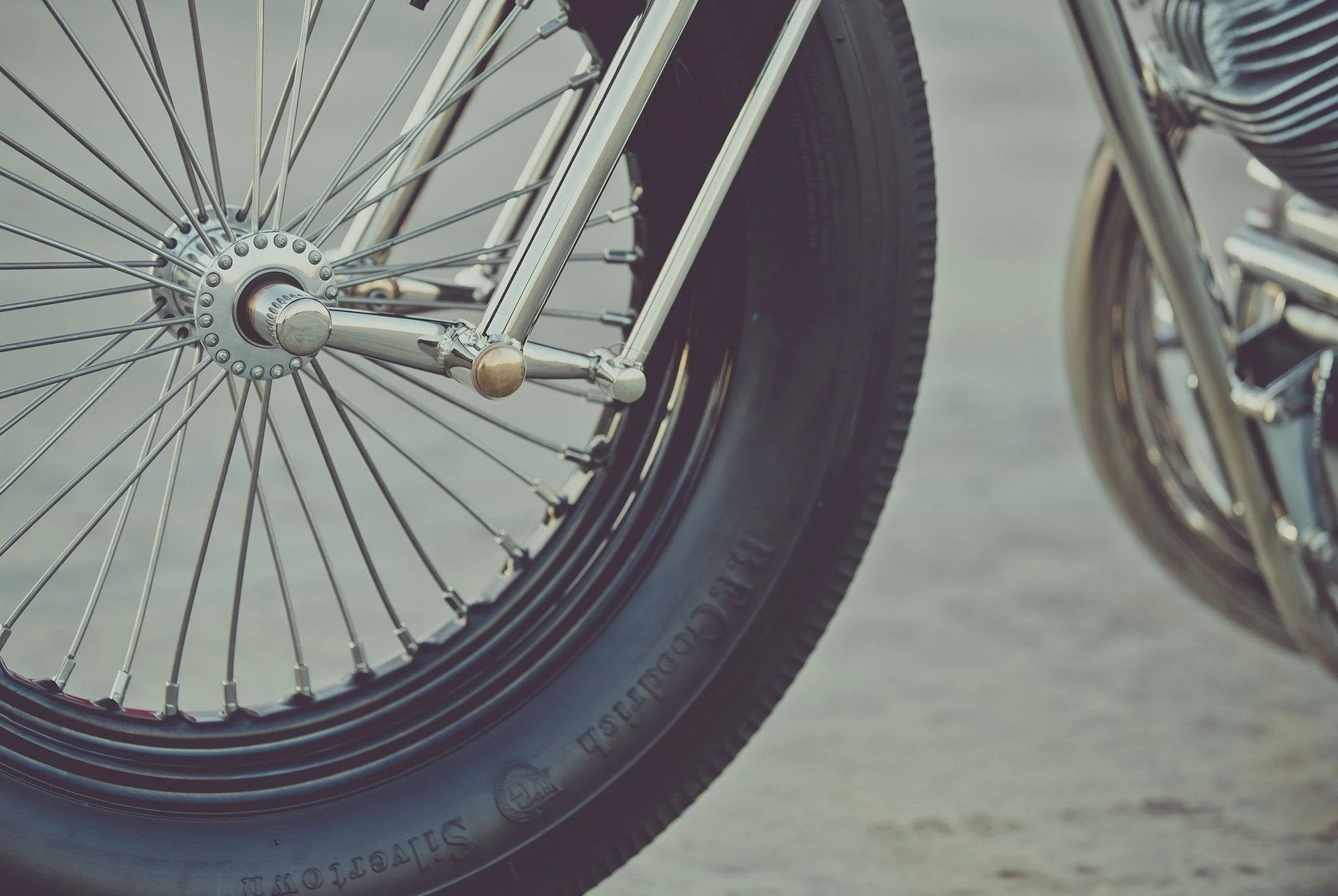 THE MUSKET - Image 7