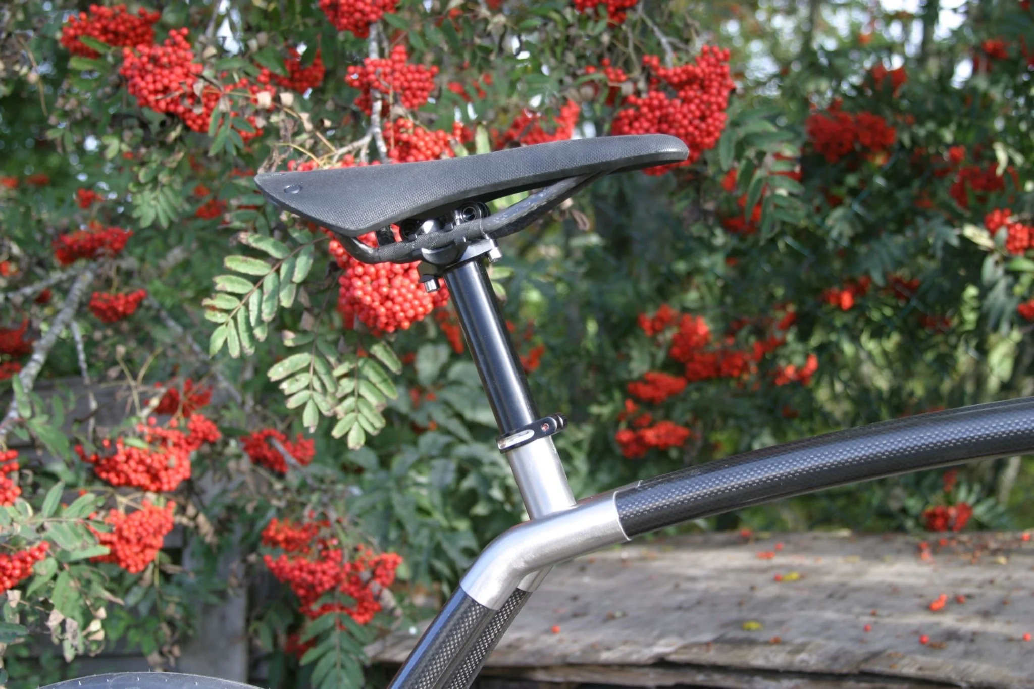 Viks Carbon - Image 18