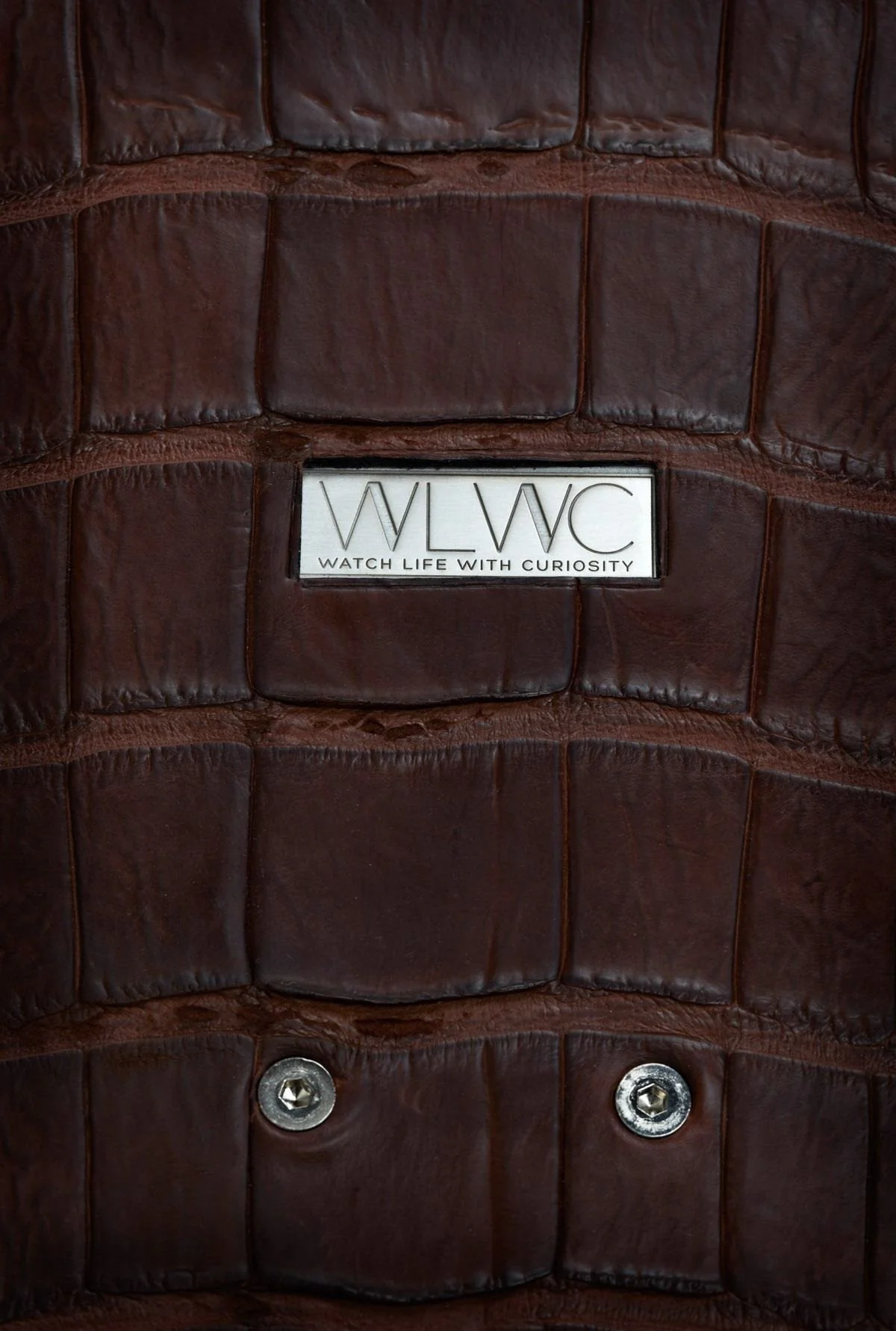 WLWC Croc Skate - Image 5